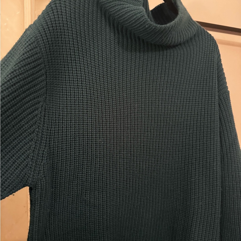 Aritzia Wilfred 100% extra fine Merino wool turtleneck sweater